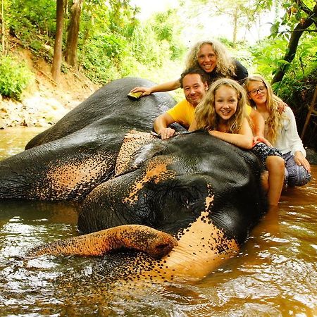 Jungle Village Homestay Pinnawala  Esterno foto