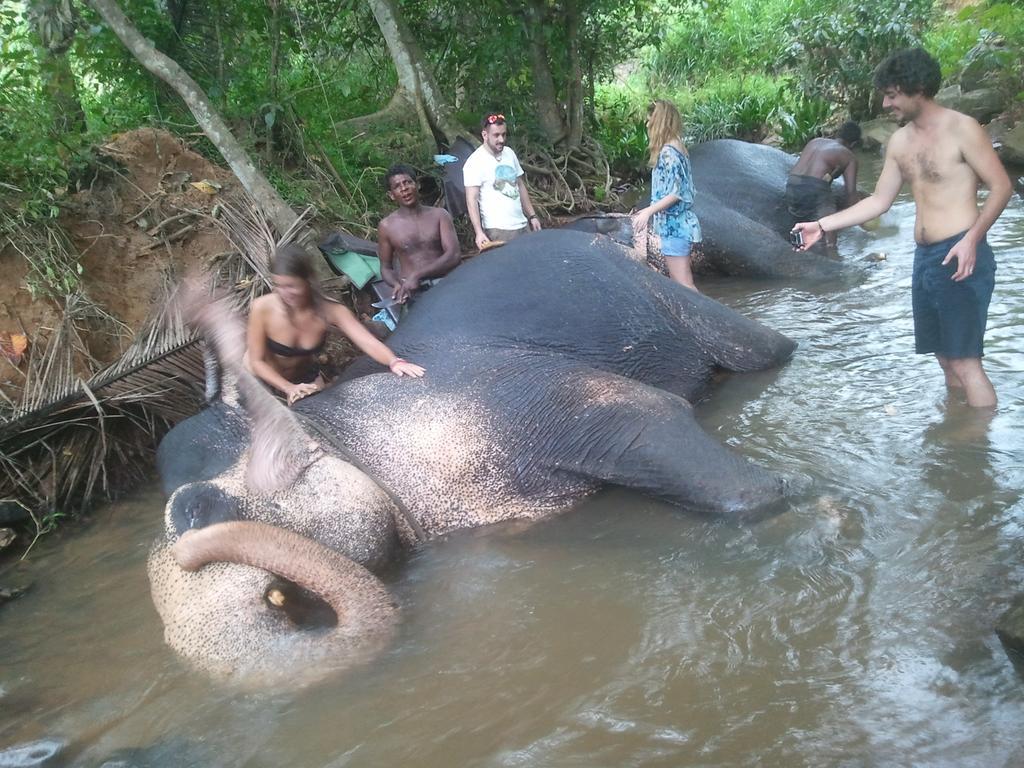 Jungle Village Homestay Pinnawala  Esterno foto