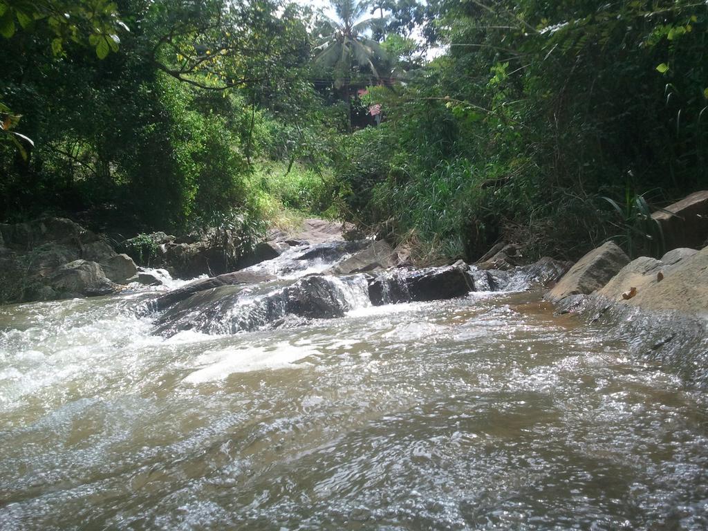 Jungle Village Homestay Pinnawala  Esterno foto