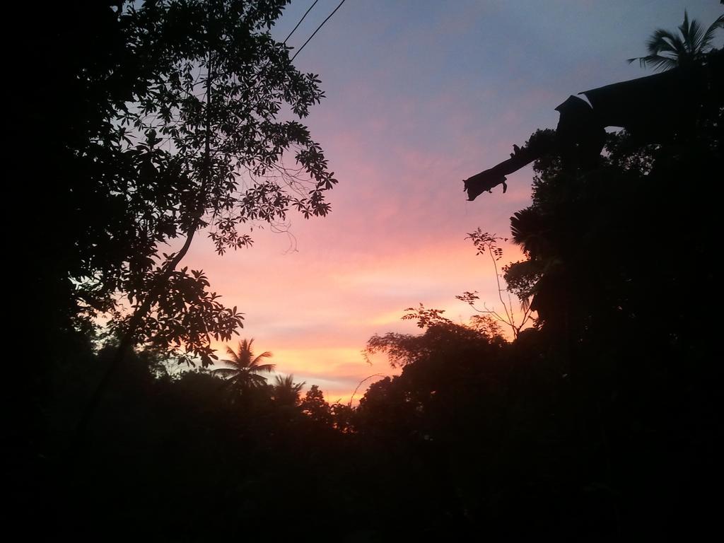 Jungle Village Homestay Pinnawala  Esterno foto
