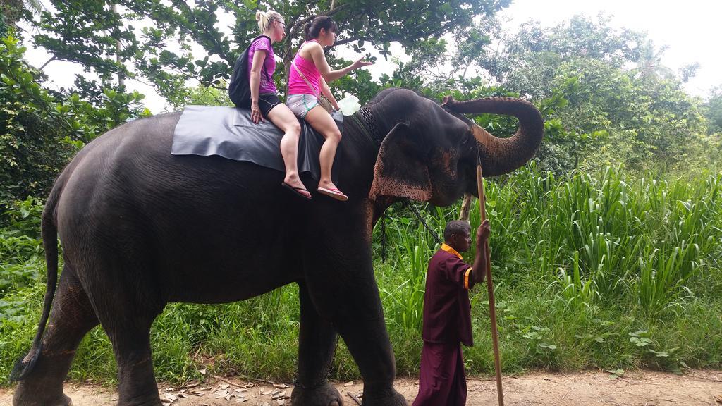 Jungle Village Homestay Pinnawala  Esterno foto