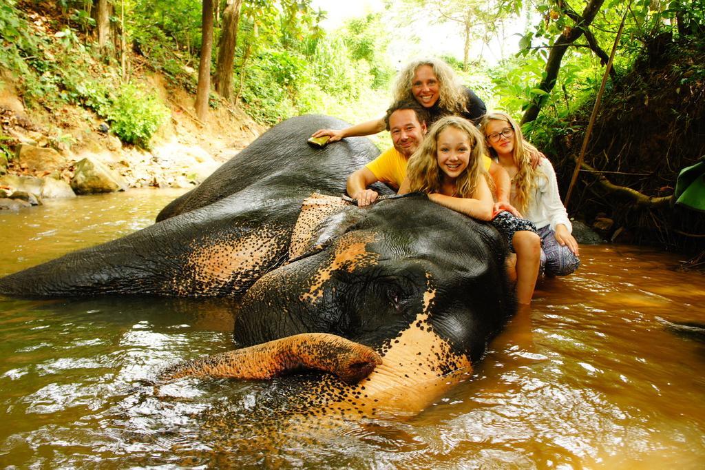 Jungle Village Homestay Pinnawala  Esterno foto